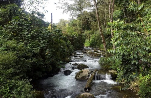 Reservas de la Biosfera en Costa Rica