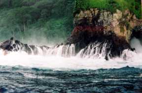 Parque Nacional Isla del Coco – Áreas Protegidas y Parques Nacionales de  Costa Rica