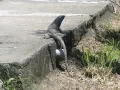 DSC02047