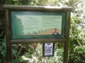 DSC02051