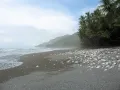 2013072021492693