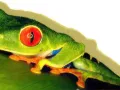 green07