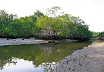 Refugio Nacional de Vida Silvestre Caletas Arío