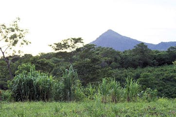 Volcán Cacao