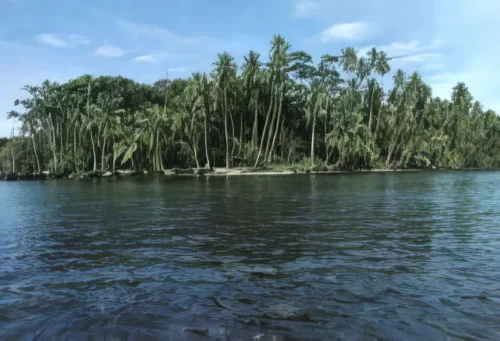 Parque Nacional Cahuita