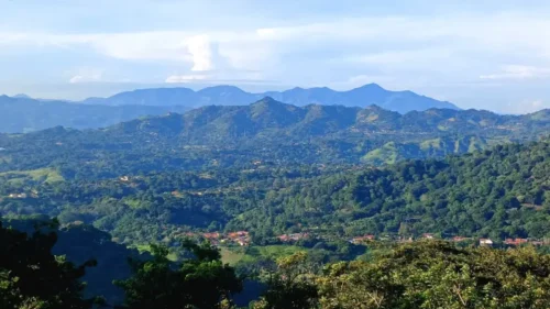 Zona Protectora Cerro Atenas