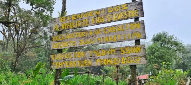 Cerro Dantas