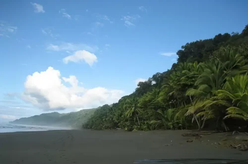 Corcovado