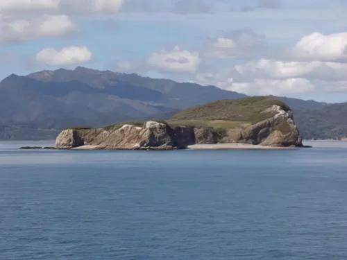 Reservas Biológicas Isla Guayabo e Islas Negritos