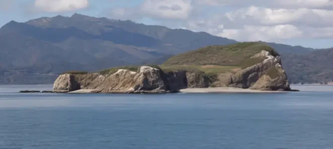 Reservas Biológicas Isla Guayabo e Islas Negritos