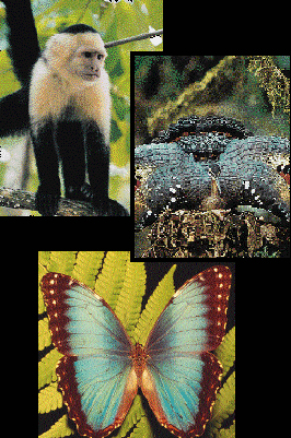 Costa Rica