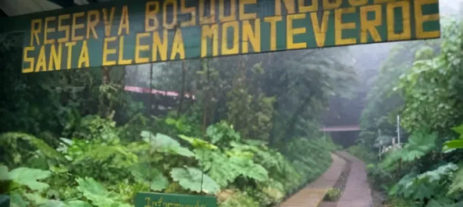 Monteverde: La joya verde del bosque nuboso