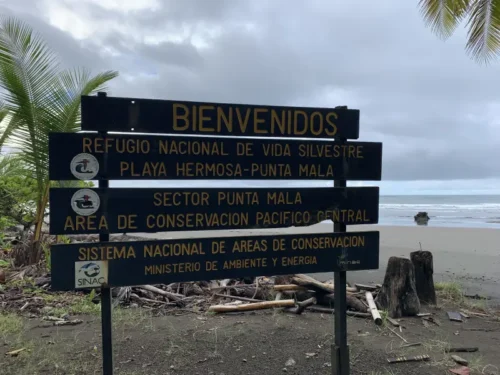 Playa Hermosa Punta Mala