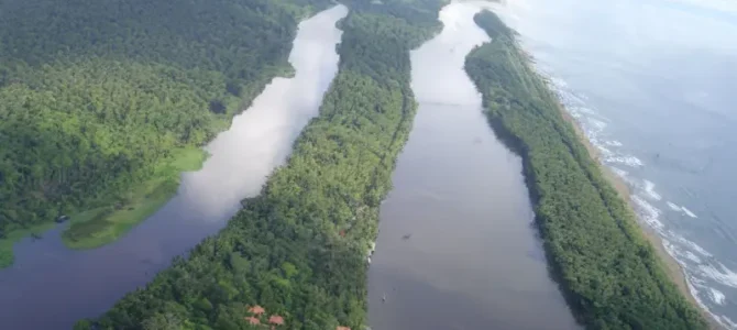 Tortuguero (Español)